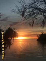 IMG_3524