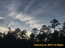IMG_3691