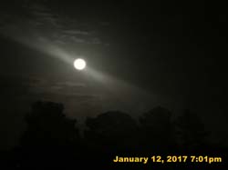 IMG_3862