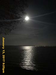 IMG_3901