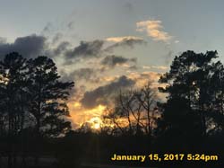 IMG_3964