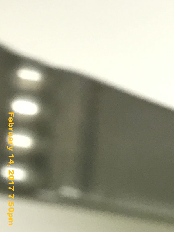 IMG_5007