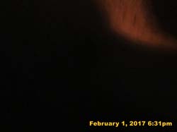 IMG_4524