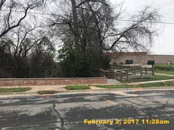 IMG_4553