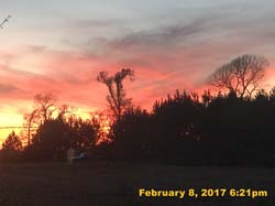 IMG_4785