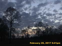 IMG_5498