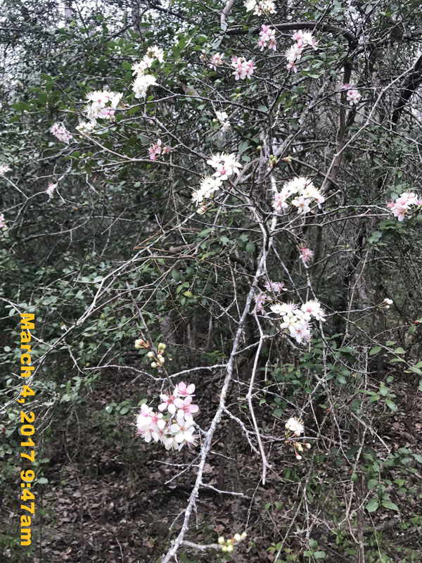 IMG_5759