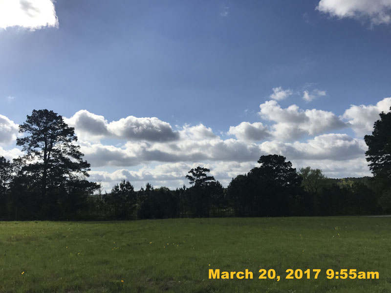 IMG_6216
