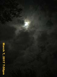 IMG_5871