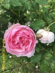 IMG_5953