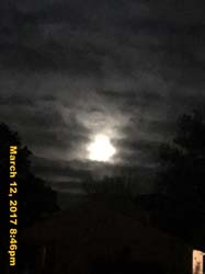 IMG_5976