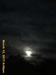 IMG_5977