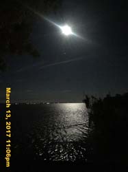 IMG_6009