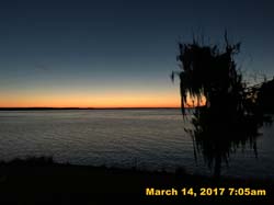 IMG_6010