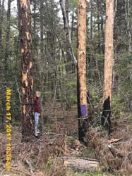 IMG_6122