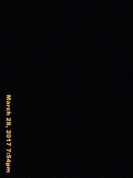 IMG_6446