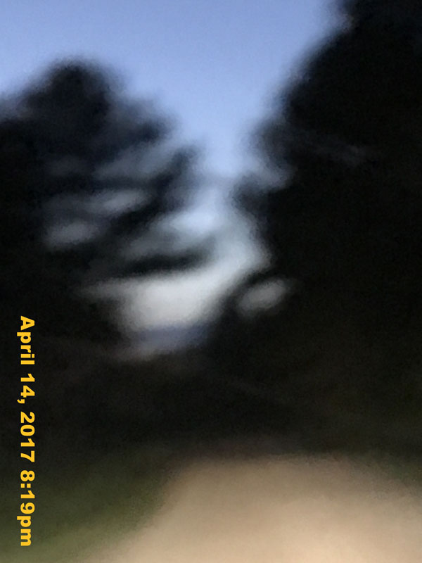 IMG_0017