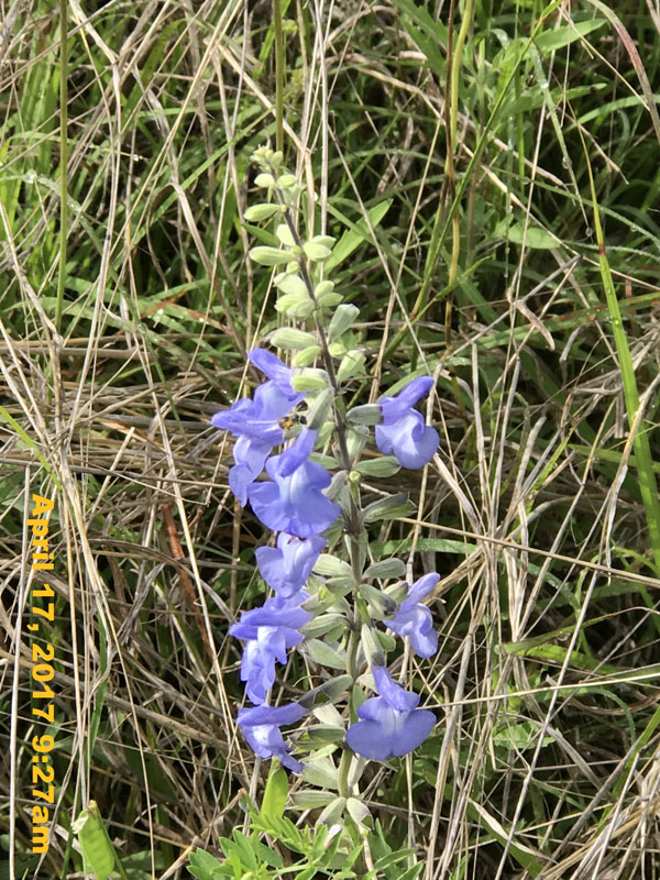 IMG_0148