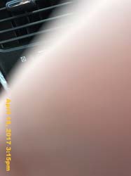 IMG_0187