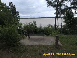 IMG_0356
