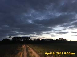 IMG_6889