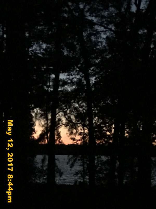 IMG_0877