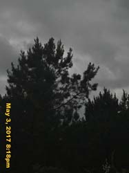 IMG_0635