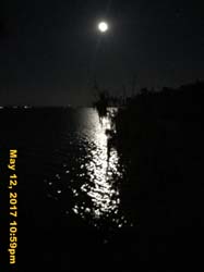 IMG_0886