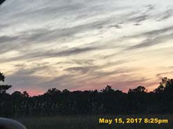 IMG_0934