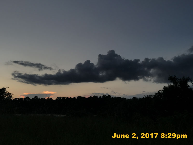 IMG_1382