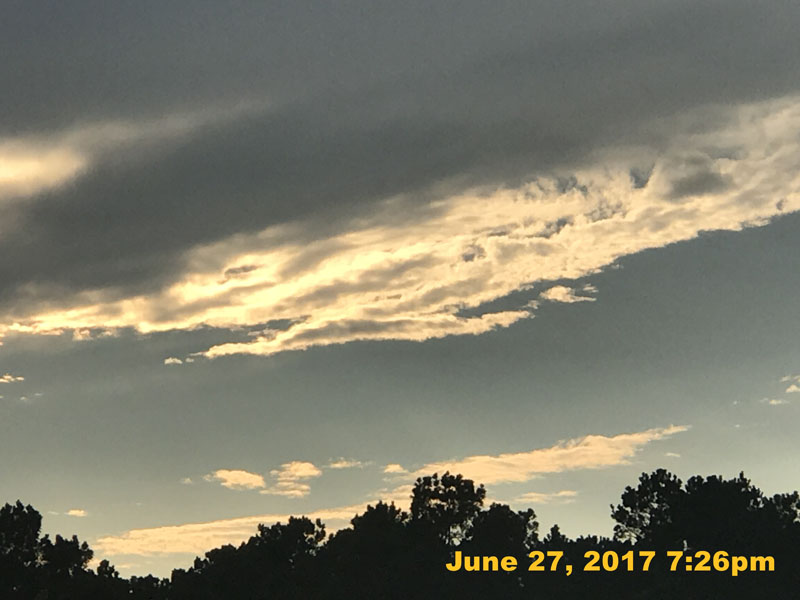 IMG_2565