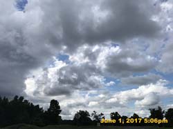 IMG_1348