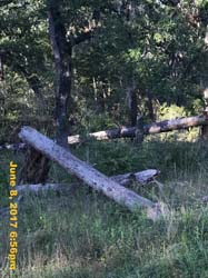 IMG_1619