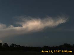 IMG_1782