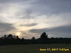 IMG_2041