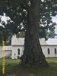 IMG_2243