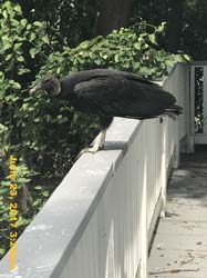 IMG_2363