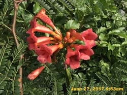 IMG_2514