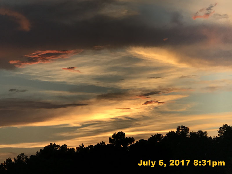IMG_3010