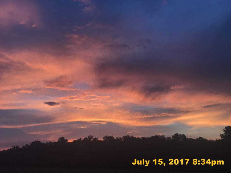IMG_3565