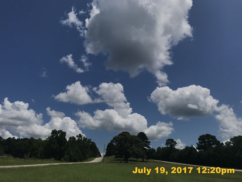 IMG_3824