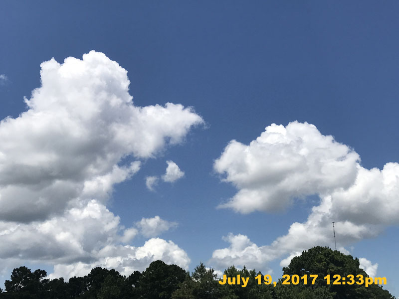 IMG_3843