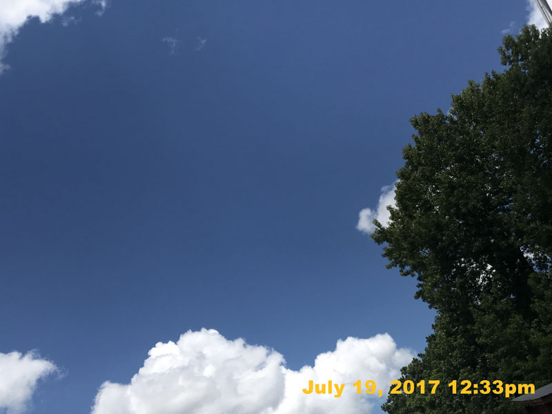 IMG_3845