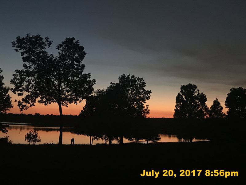IMG_3911