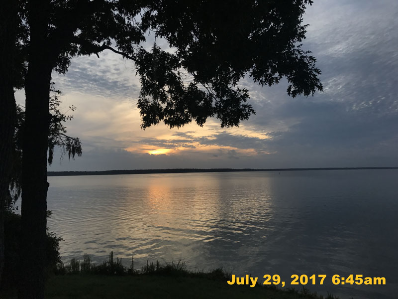 IMG_4347
