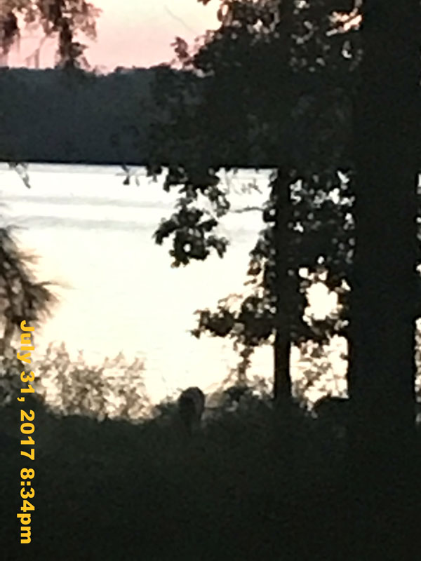 IMG_4475