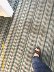 IMG_2934