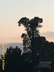 IMG_2949