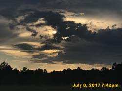 IMG_3124