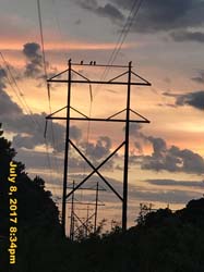 IMG_3134